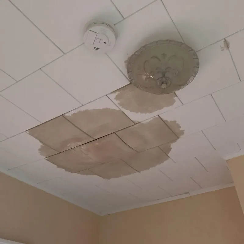 Ceiling Water Damage Repair in Milford, PA