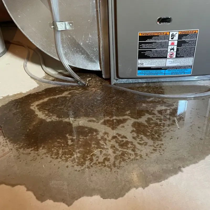 Pipe Burst and Leak Restoration in Milford, PA